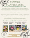 Summer flower series